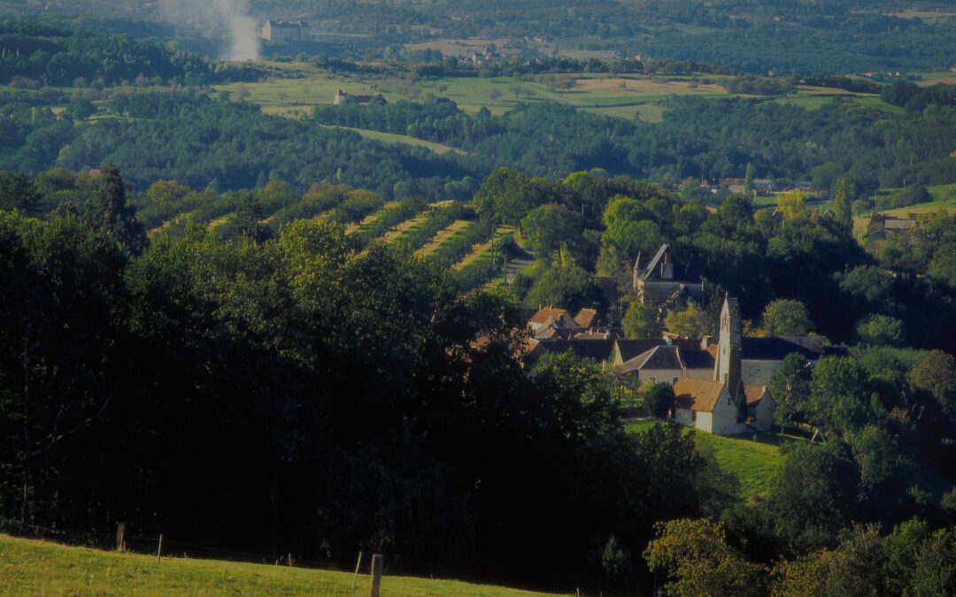Secteur Coopératif Agricole : acteur majeur de l’ESS