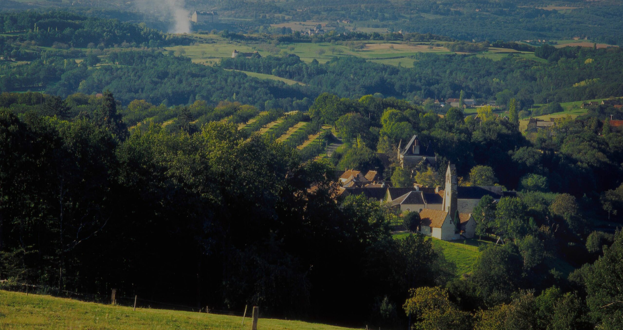 Secteur Coopératif Agricole : acteur majeur de l’ESS