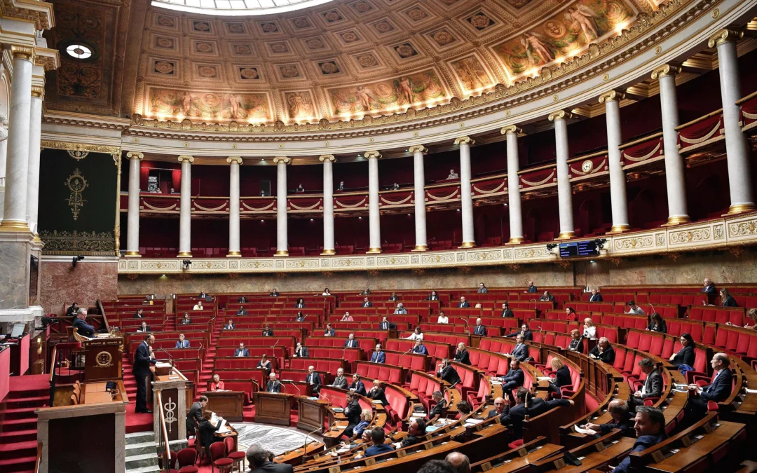 Plus de deux décennies d’histoire du Groupe d’études économie sociale et solidaire et responsabilité sociétale des entreprises à l’Assemblée Nationale