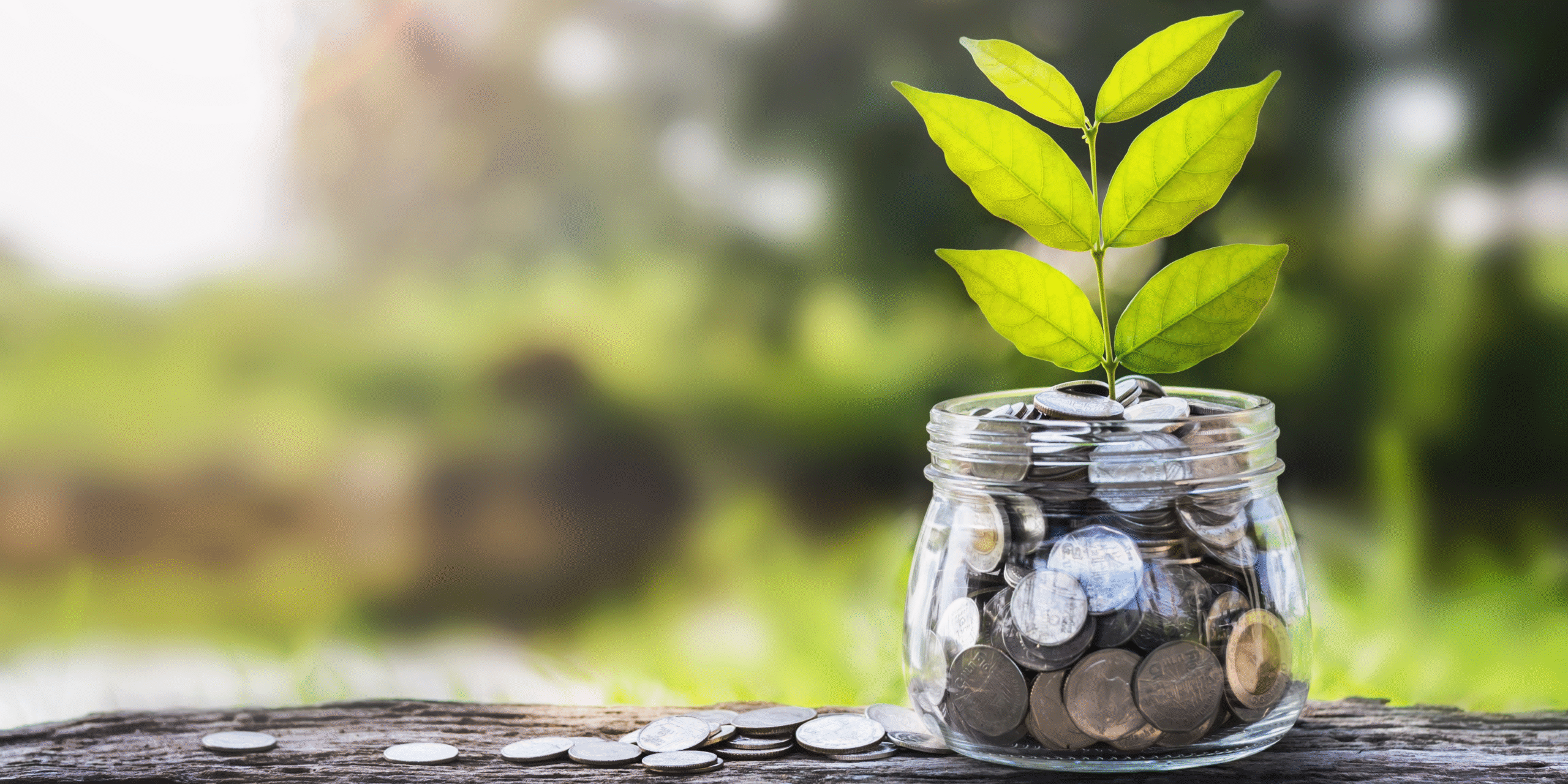 « La transition écologique sera inclusive ou ne sera pas »