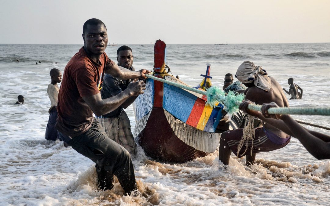 Ressources animales & halieutiques : des potentiels et des atouts exponentiels