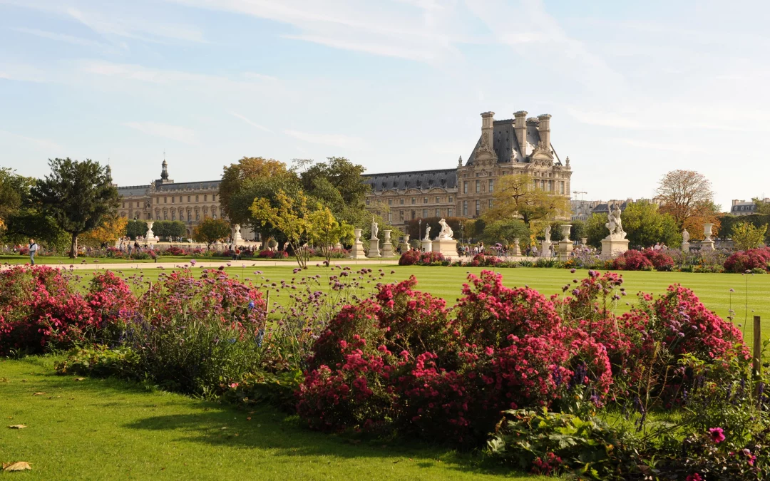 Éco-responsabilité & préservation de l’environnement : des engagements et des actes